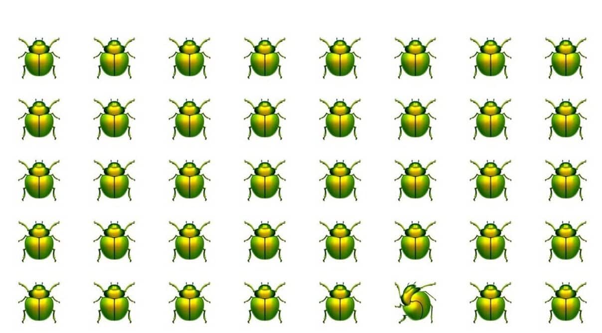 Picture Puzzles | Quiz Break