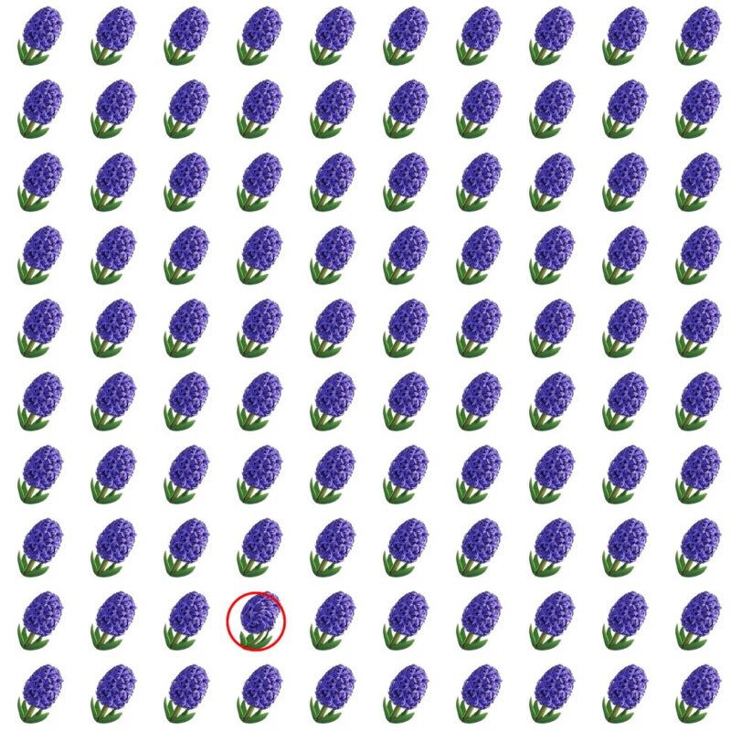 Picture Quiz 5 solution