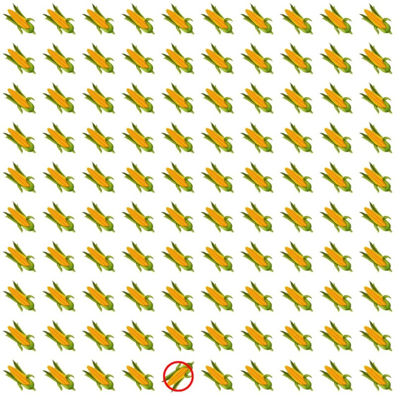 Picture Quiz 5 solution