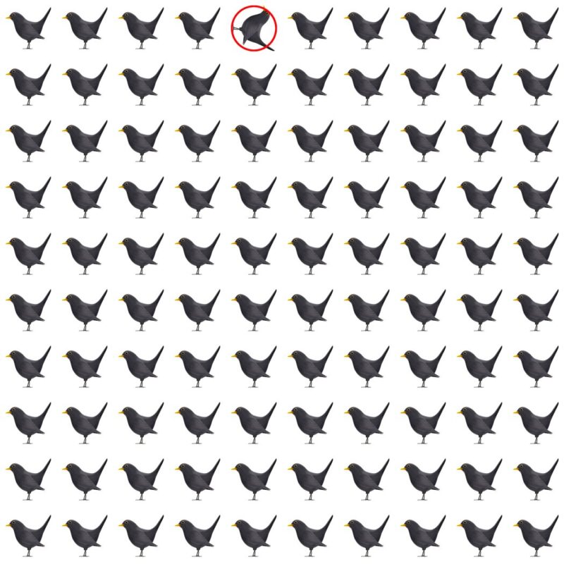 Picture Quiz 5 solution