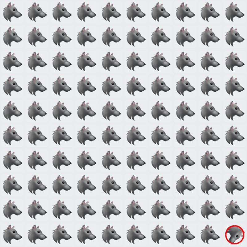 Picture Quiz 5 solution