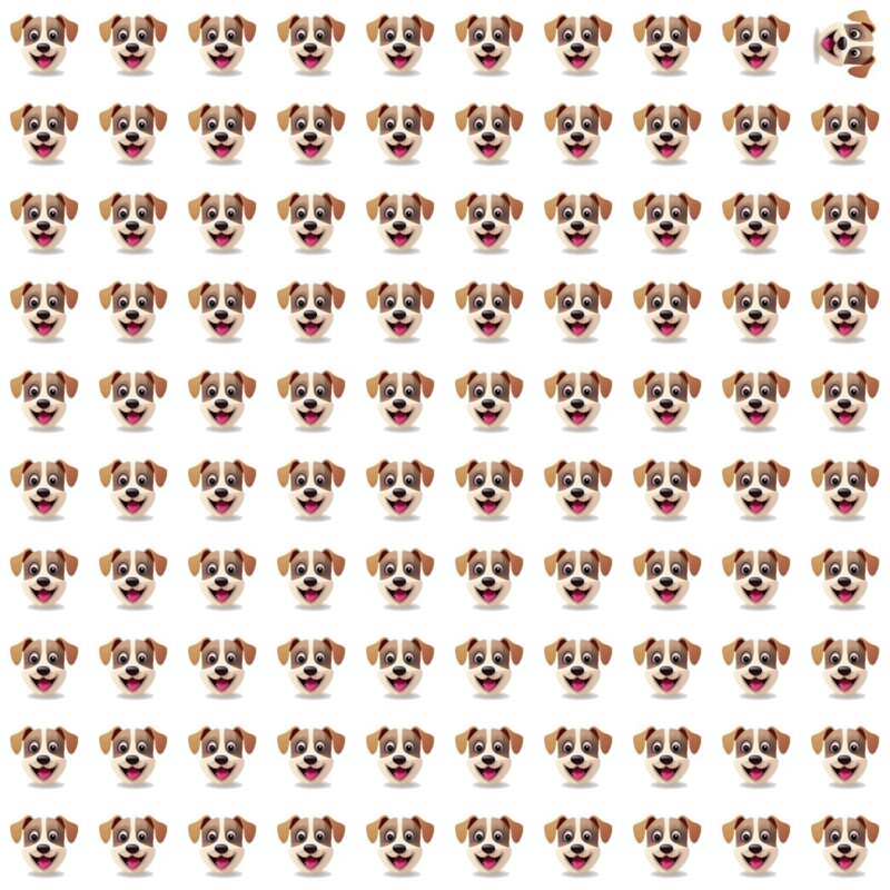 Picture Quiz 5