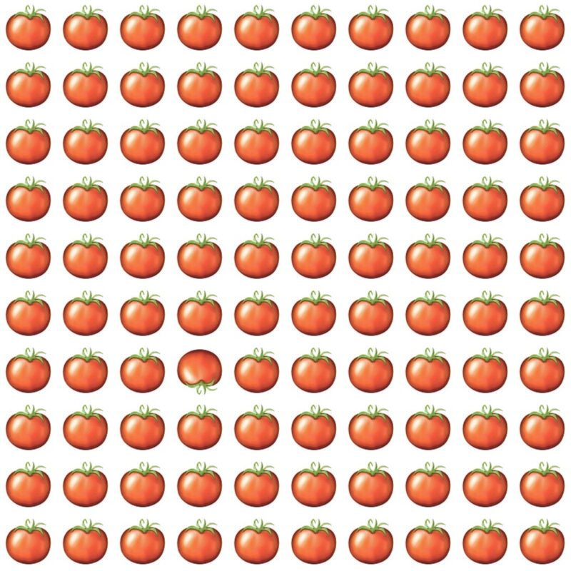 Picture Quiz 5