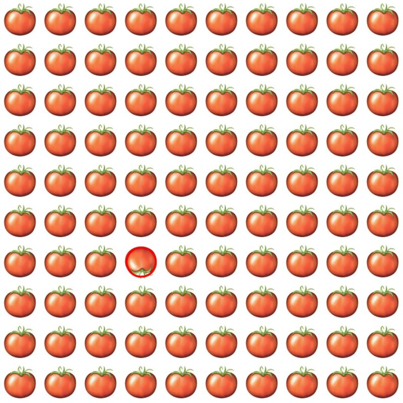 Picture Quiz 5 solution