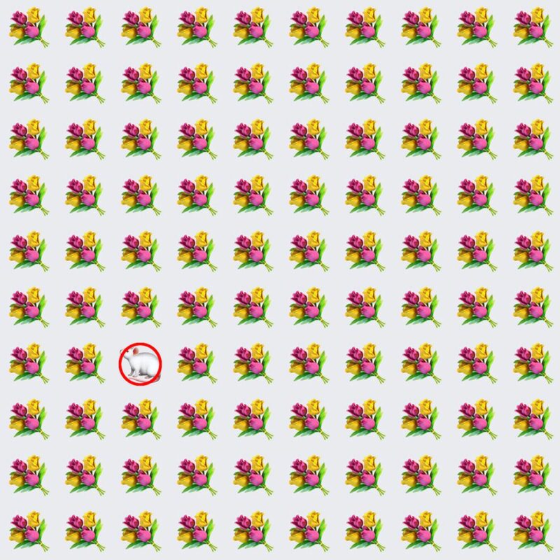 Picture Quiz 5 solution