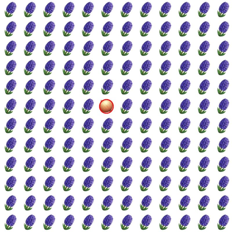 Picture Quiz 6 solution