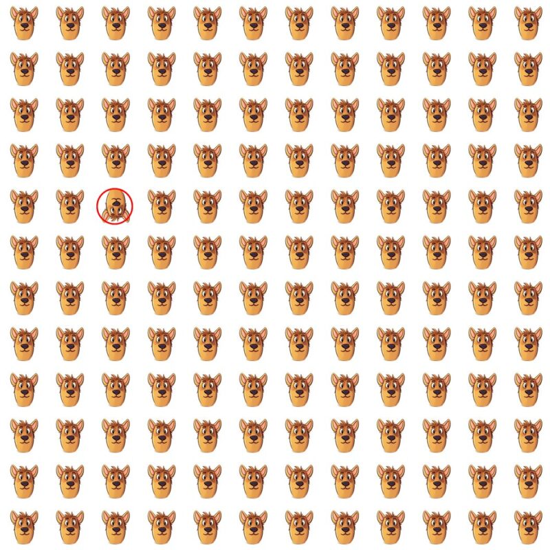 Picture Quiz 6 solution