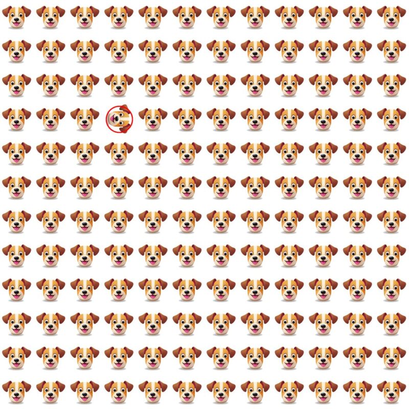 Picture Quiz 6 solution