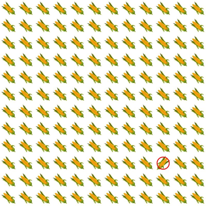 Picture Quiz 6 solution