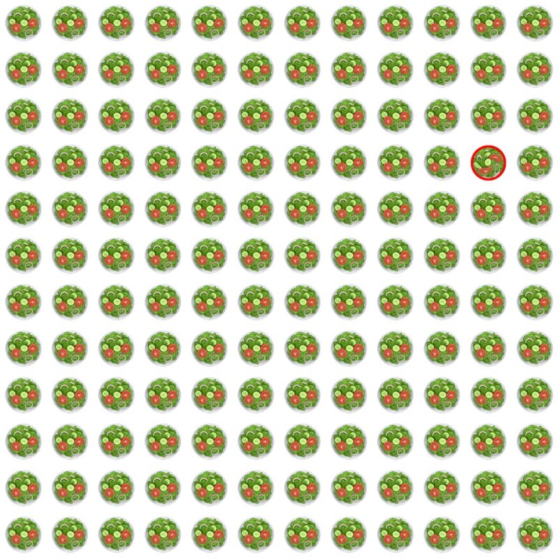 Picture Quiz 6 solution