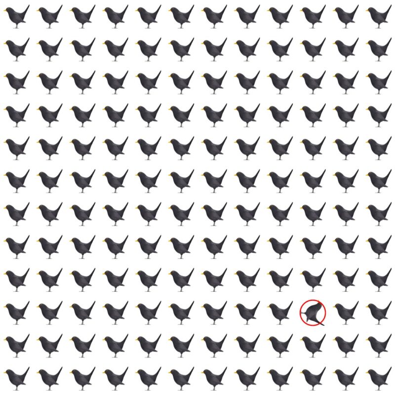 Picture Quiz 6 solution