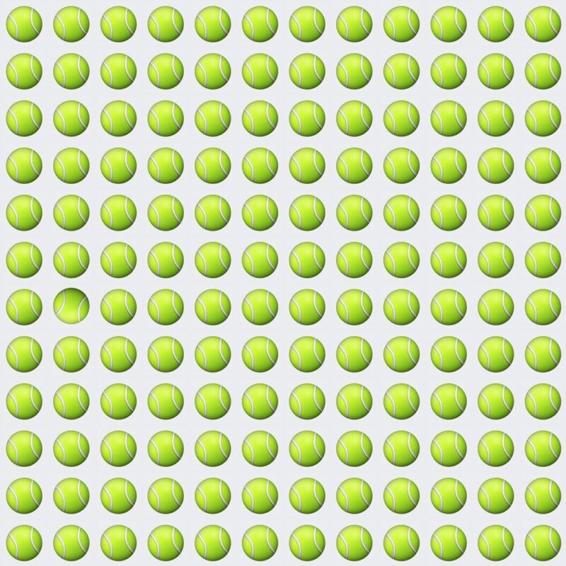 Picture Quiz 6
