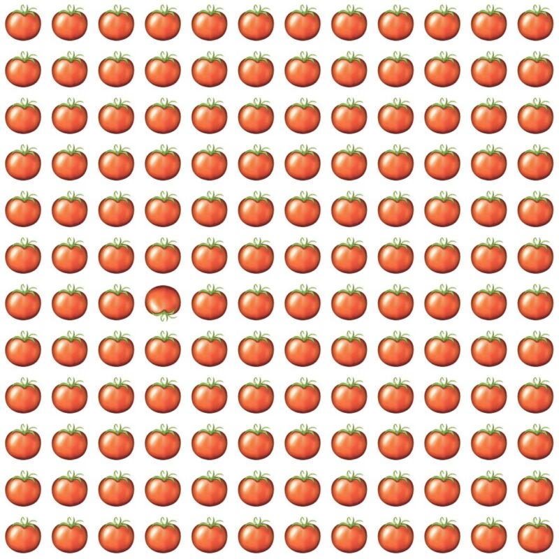 Picture Quiz 6