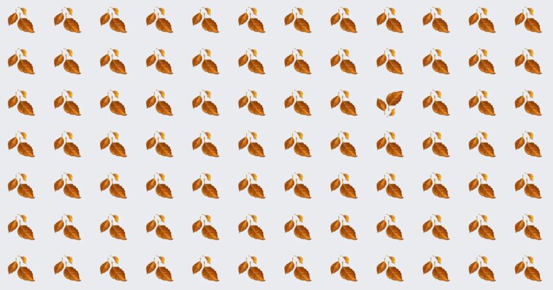 Can You Find It? 10 Odd One Out Challenges