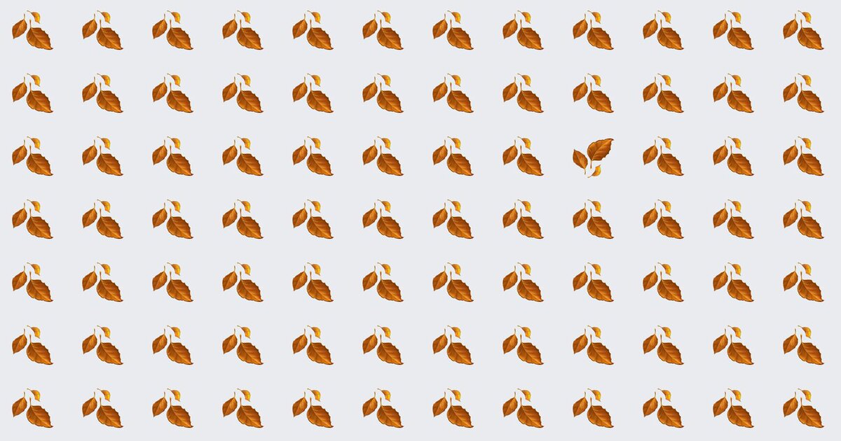 Can You Find It? 10 Odd One Out Challenges