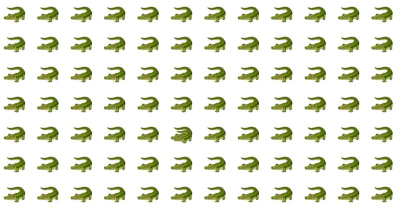 Spot The Odd Fellow Quiz – Can You Get The Top Score?