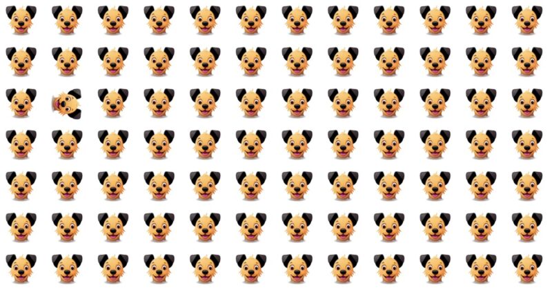 Odd Character Quiz – Only 1% Can Beat The Score!