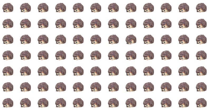 You’re A Genius If You Pass This Tough Odd One Out Challenge