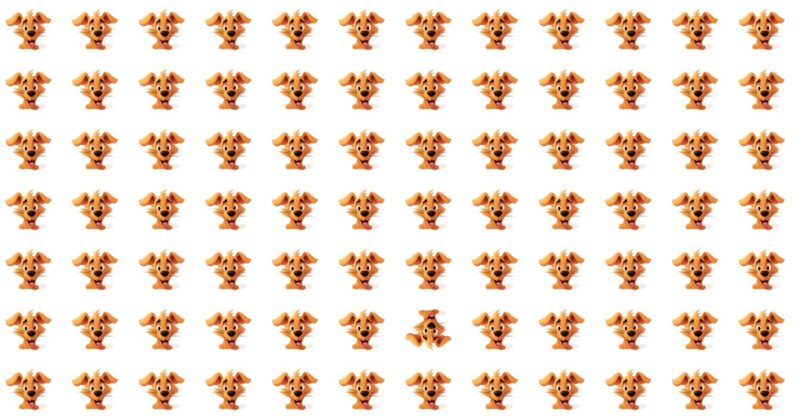 It’s Too Difficult To Find The Odd One Out Within 20 Seconds!