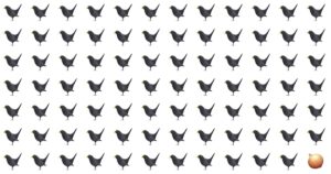 Can You Find The Odd One Before Time Runs Out?