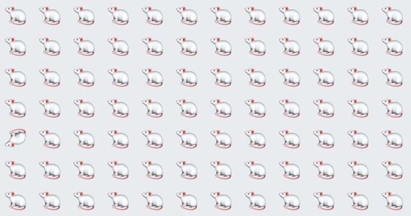 Dare To Differ: 10 Odd One Out Conundrums