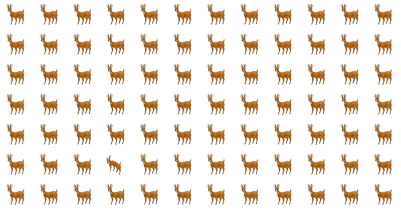 Almost No One Finishes This Tough Puzzle Without Cheating