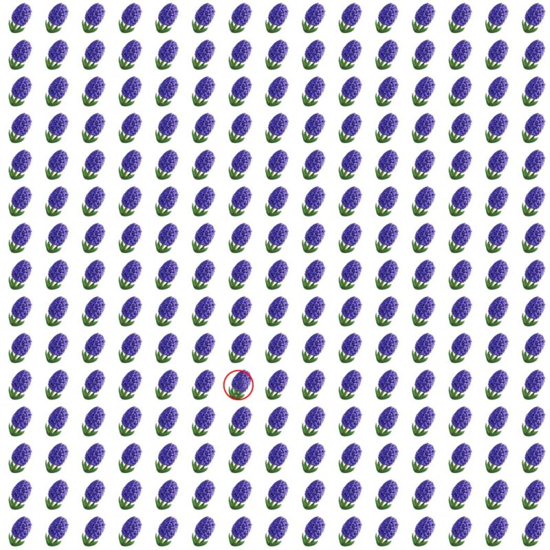 Picture Quiz 7 solution