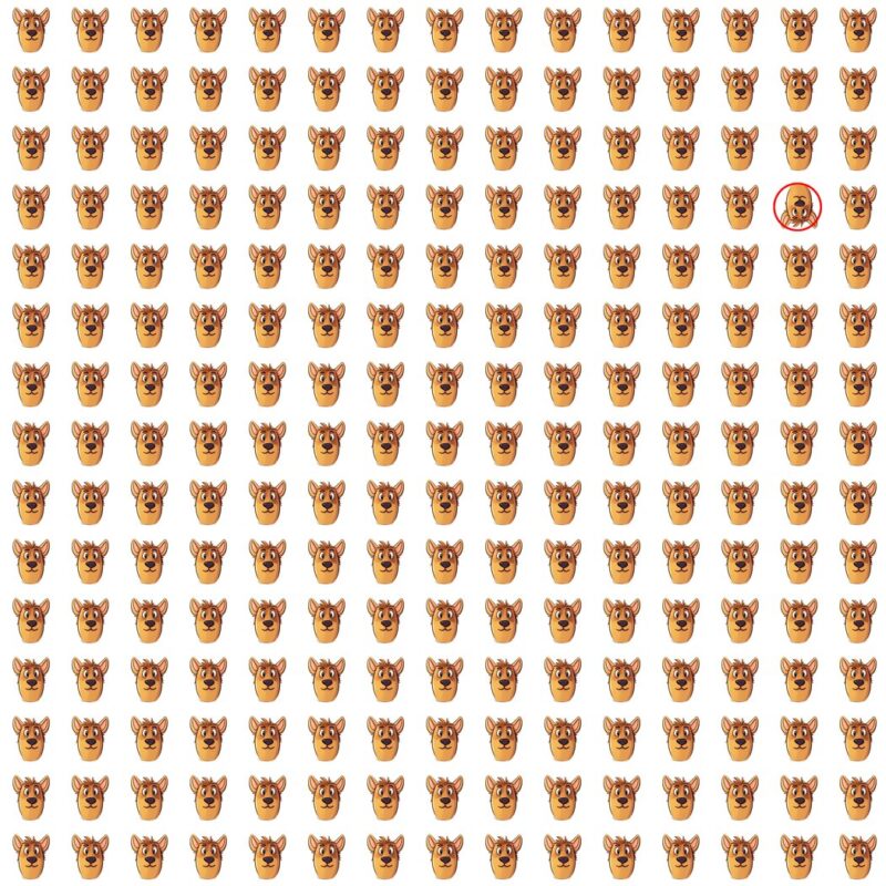 Picture Quiz 7 solution