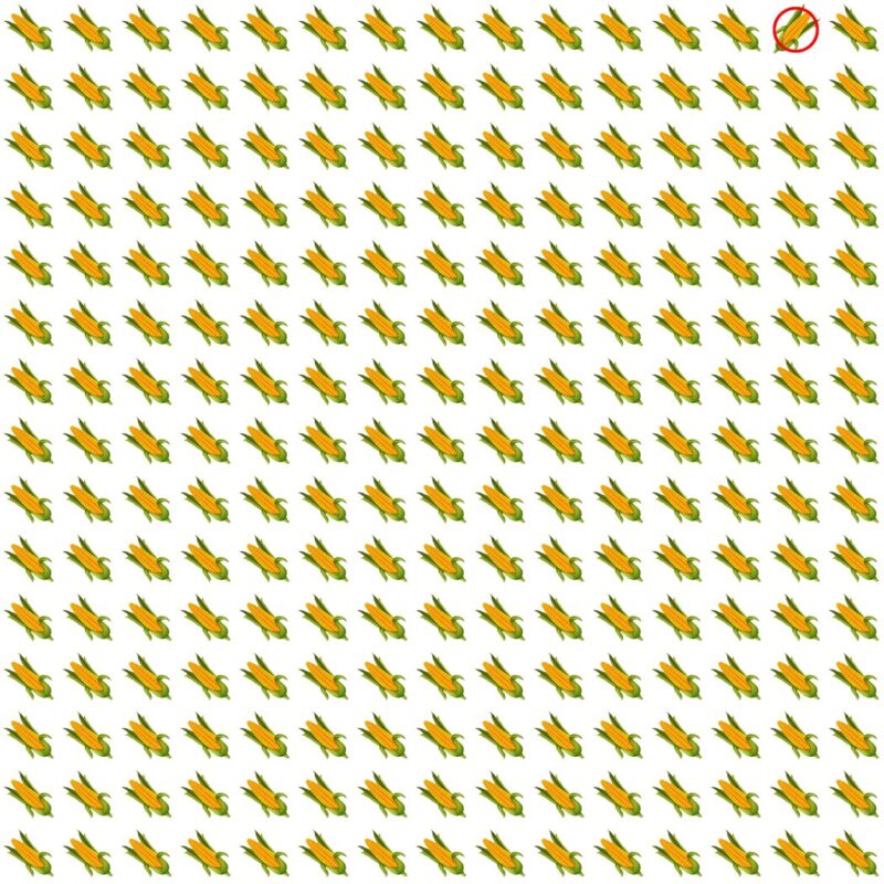 Picture Quiz 7 solution