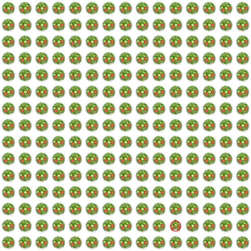 Picture Quiz 7 solution