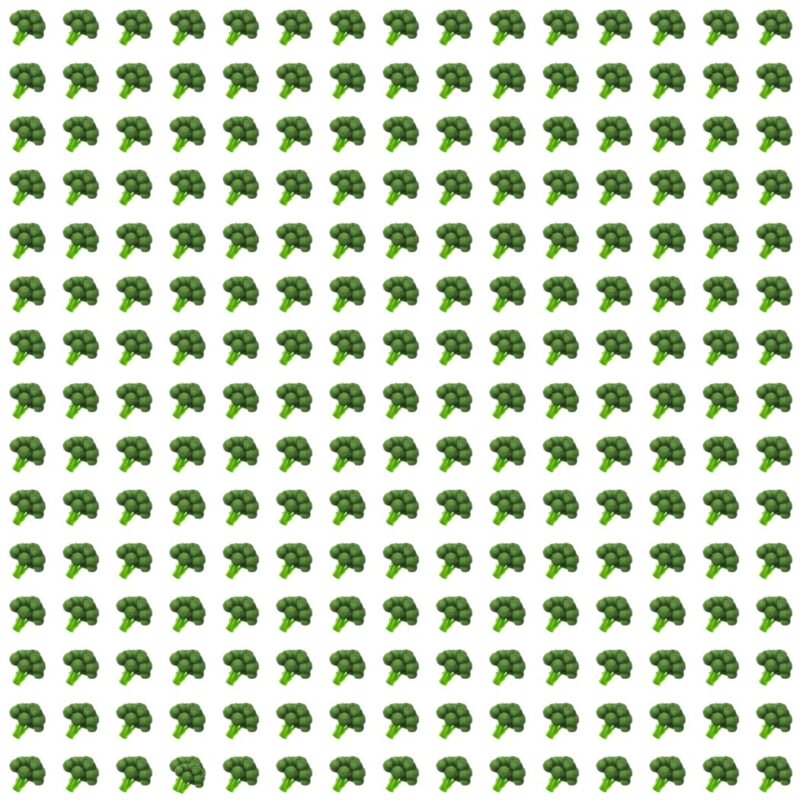 Picture Quiz 7