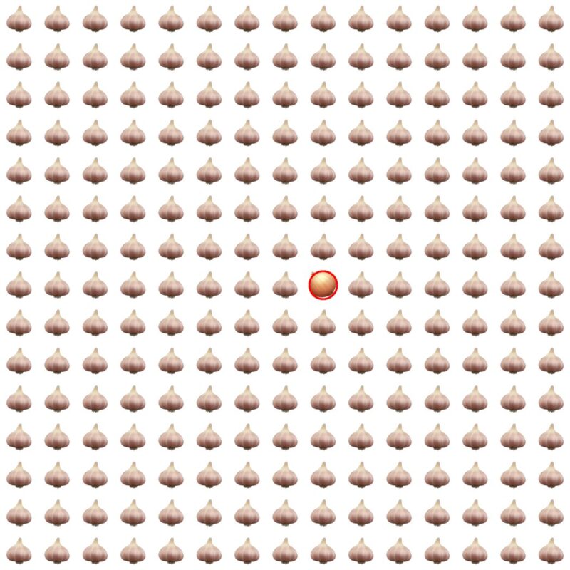 Picture Quiz 7 solution