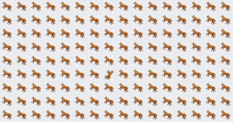Can You Spot The Odd One Before Time Runs Out?