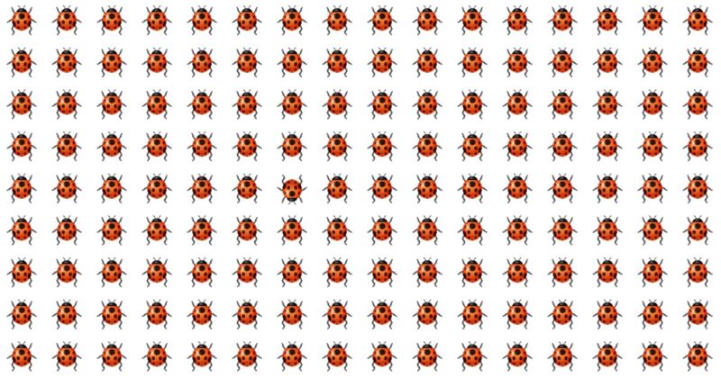 Test Your Visual Perception In 10 Seconds with This Puzzle