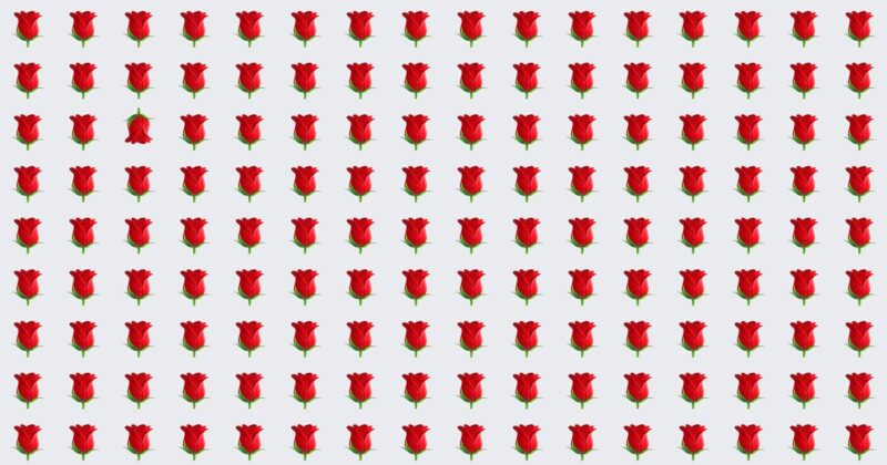 People Are Saying This Popular Odd One Out Puzzle Is Impossible. Prove Us Wrong!