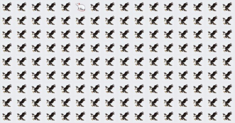 Odd Fellow Quiz – High Score Of 3/10 To Beat