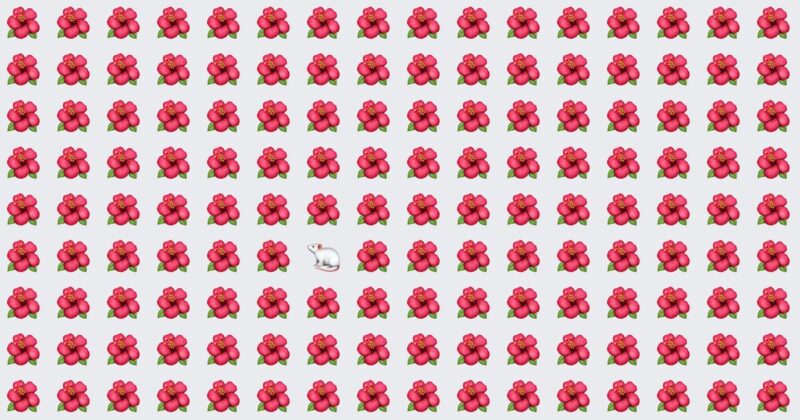 Research Shows Almost No One Can Ace This Odd One Out Visual Game. Are You Up To The Challenge?