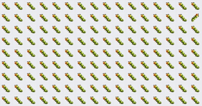 Find The Odd One – It’s Harder Than You Expect!