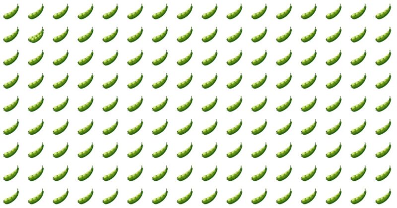 Literally Zero People Can Get 100% On This Odd One Out Quiz. Prove Us Wrong!