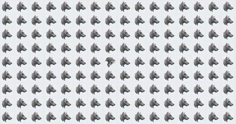 Fellow Puzzle Madness – Odd One Out Challenge!