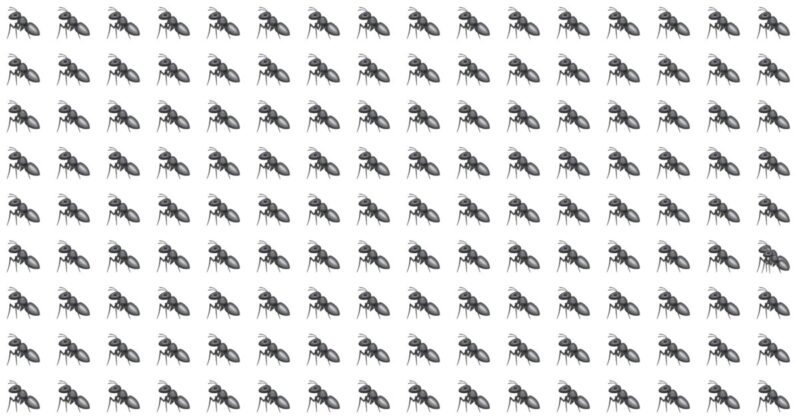 This Odd One Out Visual Puzzle Will Determine Your Visual Perception Abilities In Less Than 60 Seconds