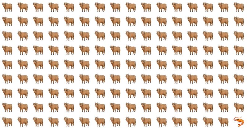 10 Odd One Out Quizzes For Visual Connoisseurs