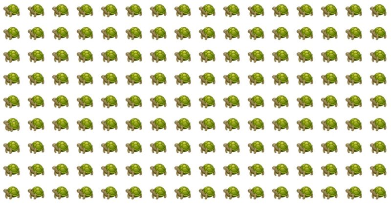 This Odd One Out Visual Puzzle Will Determine Your Visual Perception Abilities In About 60 Seconds