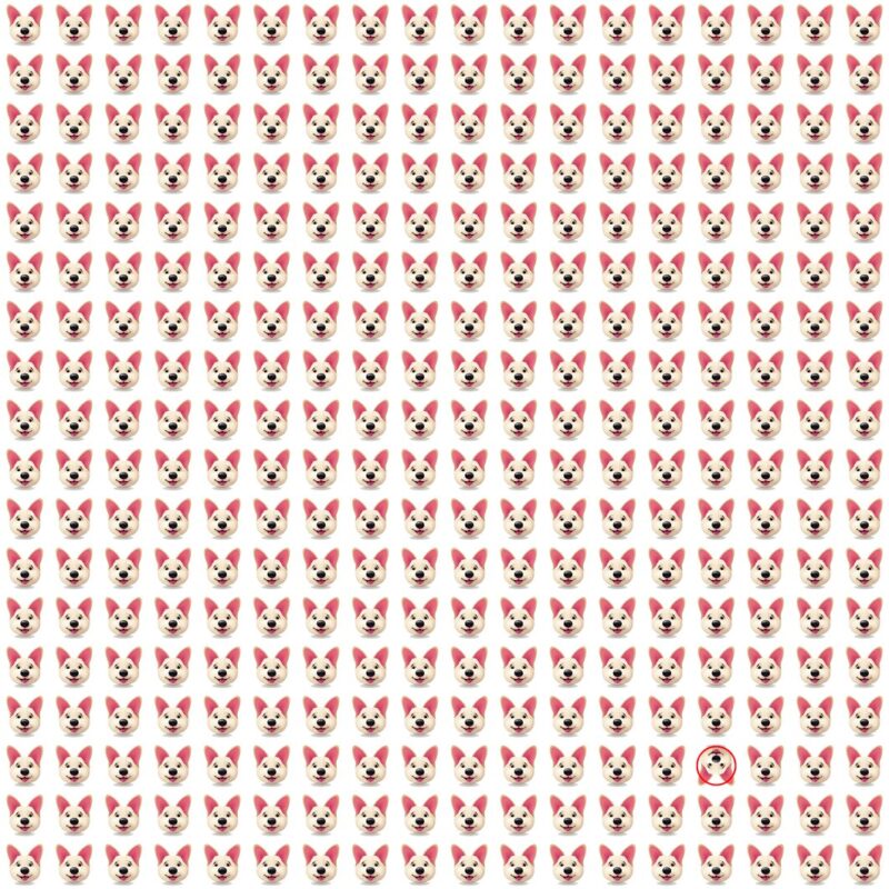 Picture Quiz 8 solution