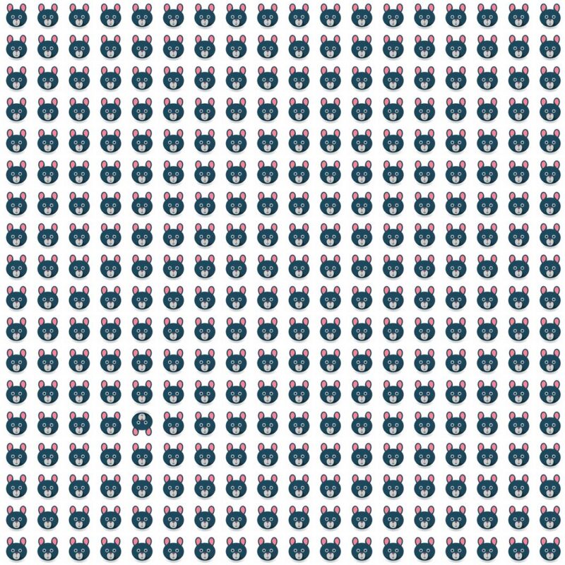 Picture Quiz 8
