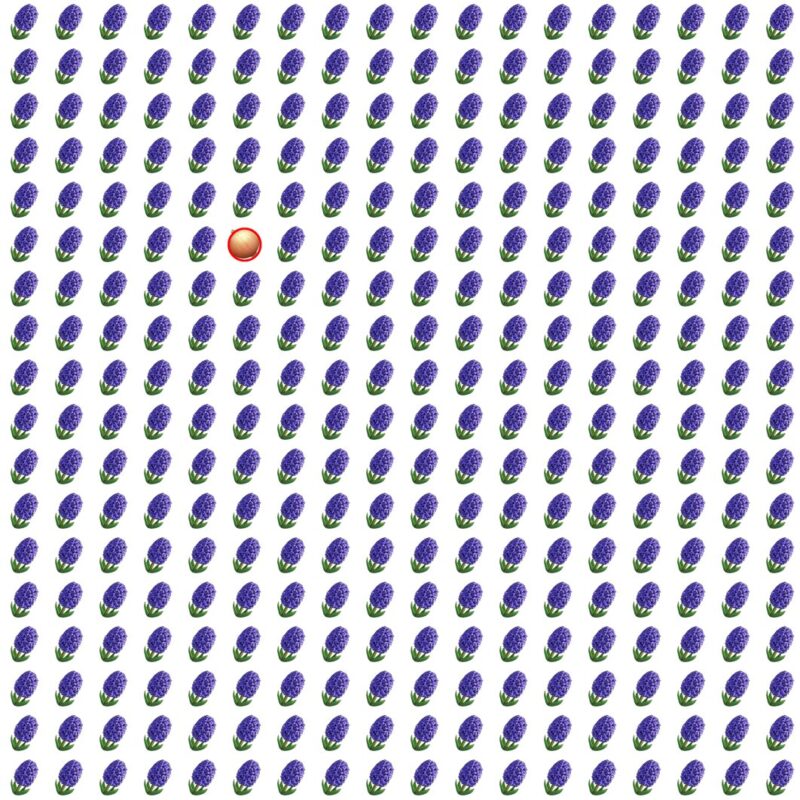 Picture Quiz 8 solution