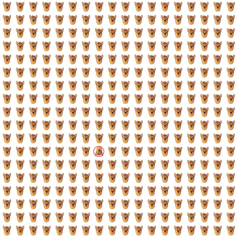 Picture Quiz 8 solution