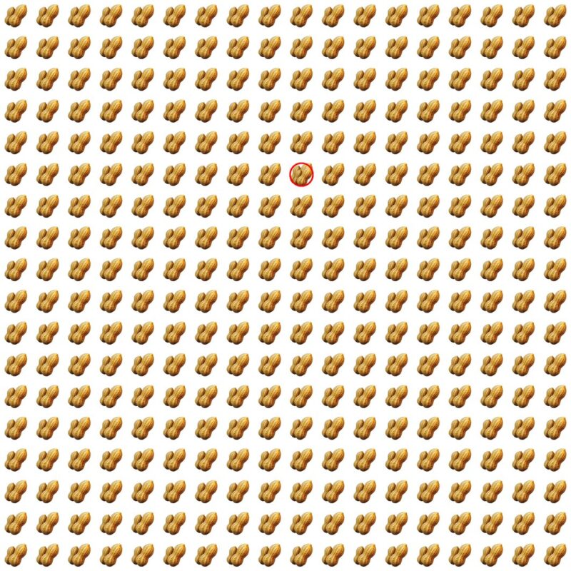 Picture Quiz 8 solution