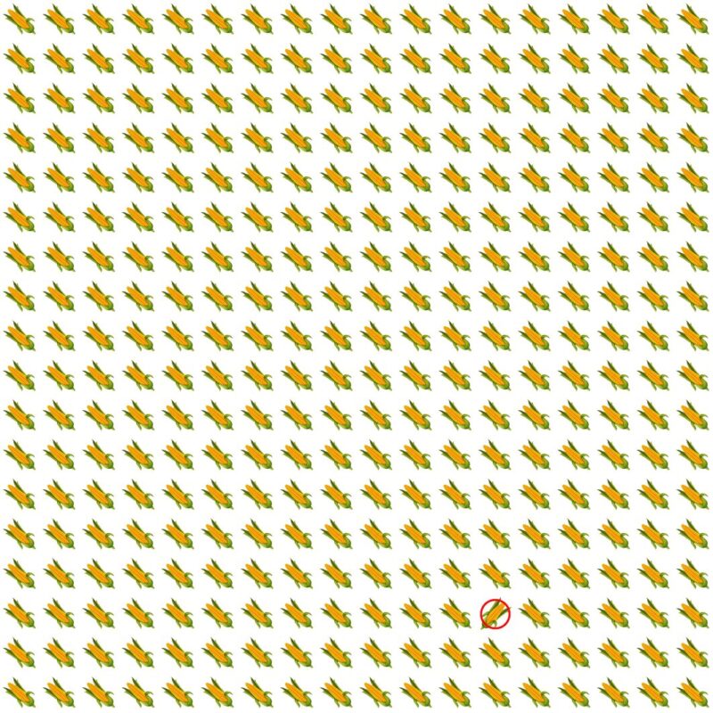 Picture Quiz 8 solution