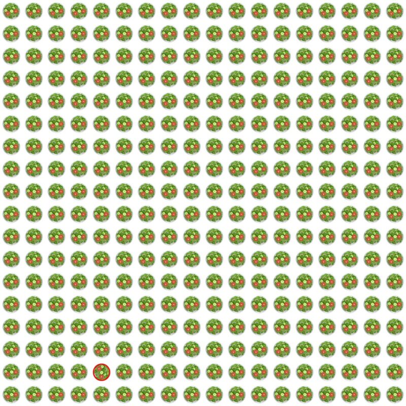 Picture Quiz 8 solution